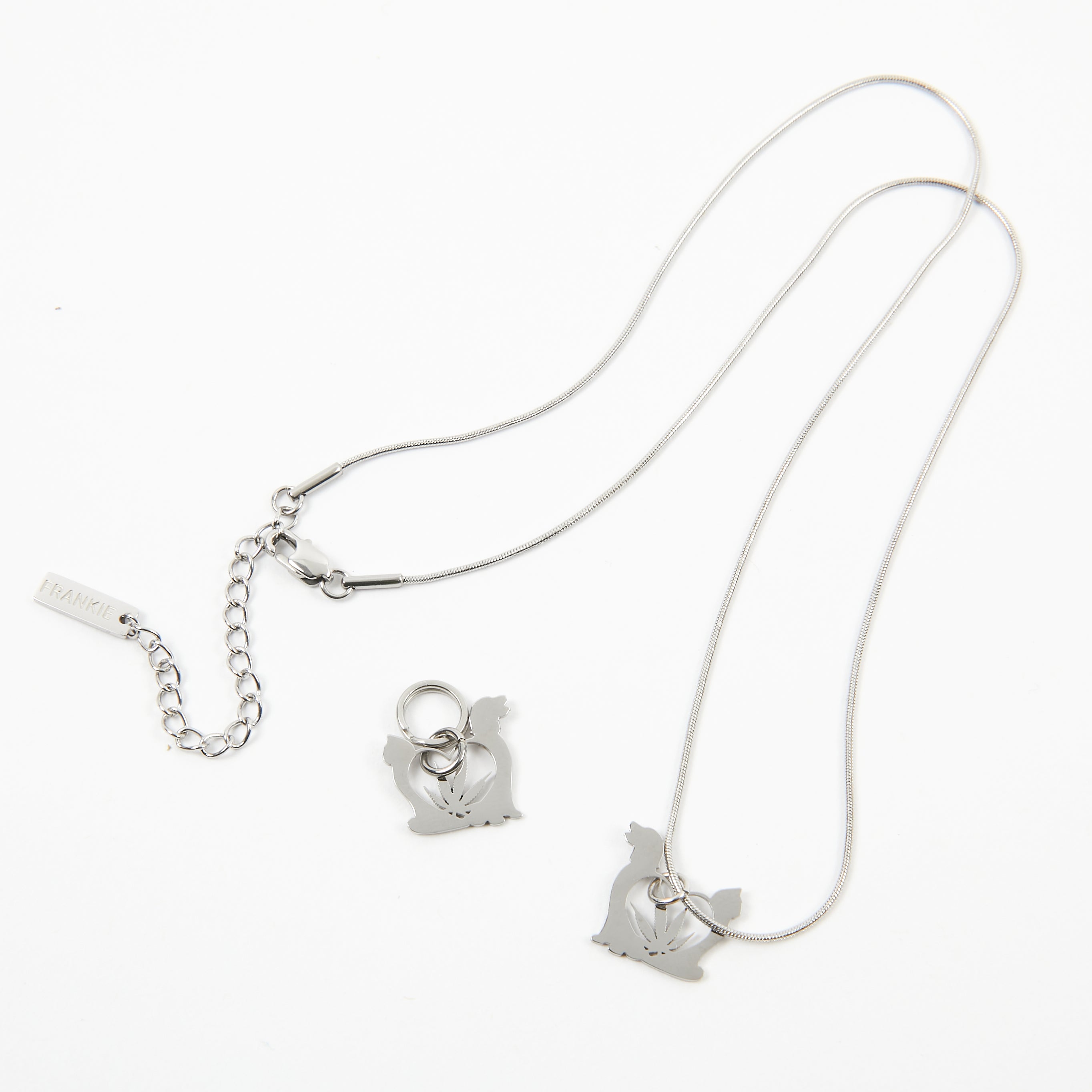 PET CHARM & NECKLACE SET