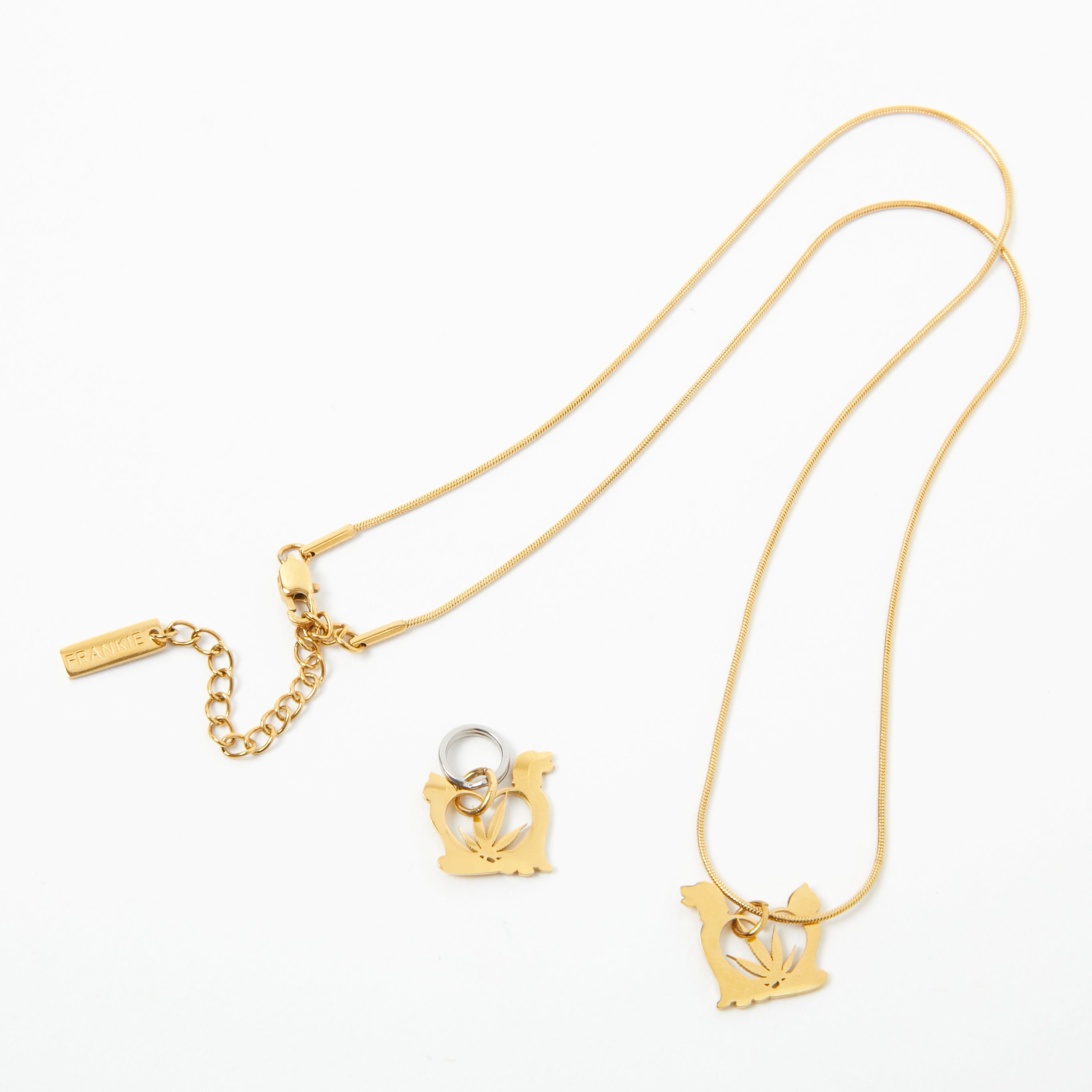 PET CHARM & NECKLACE SET