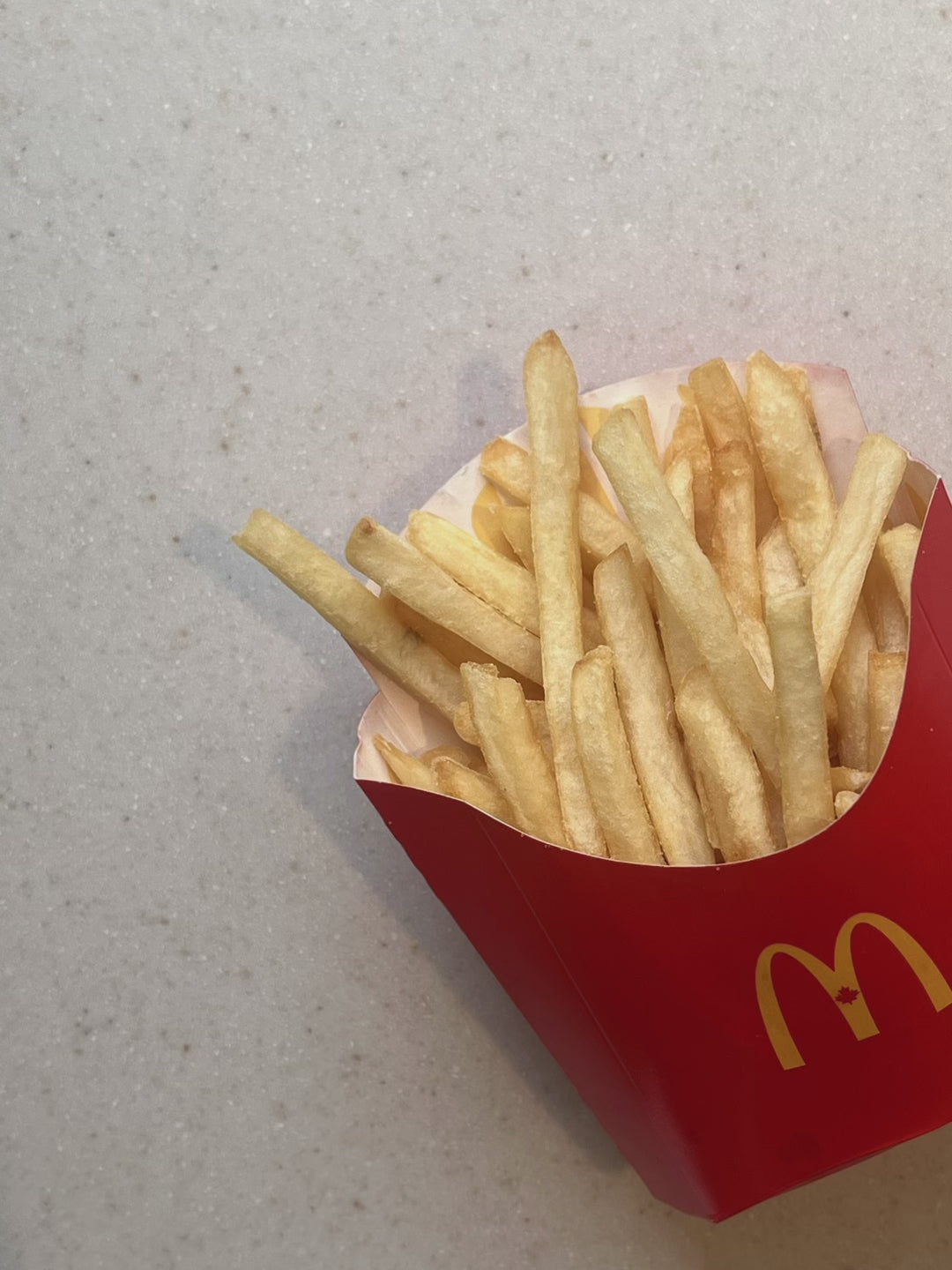 FRENCH FRY EARRINGS